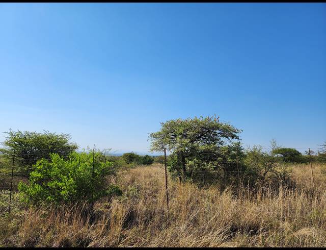 8.50HA VACANT LAND FOR SALE IN DALMADA AH